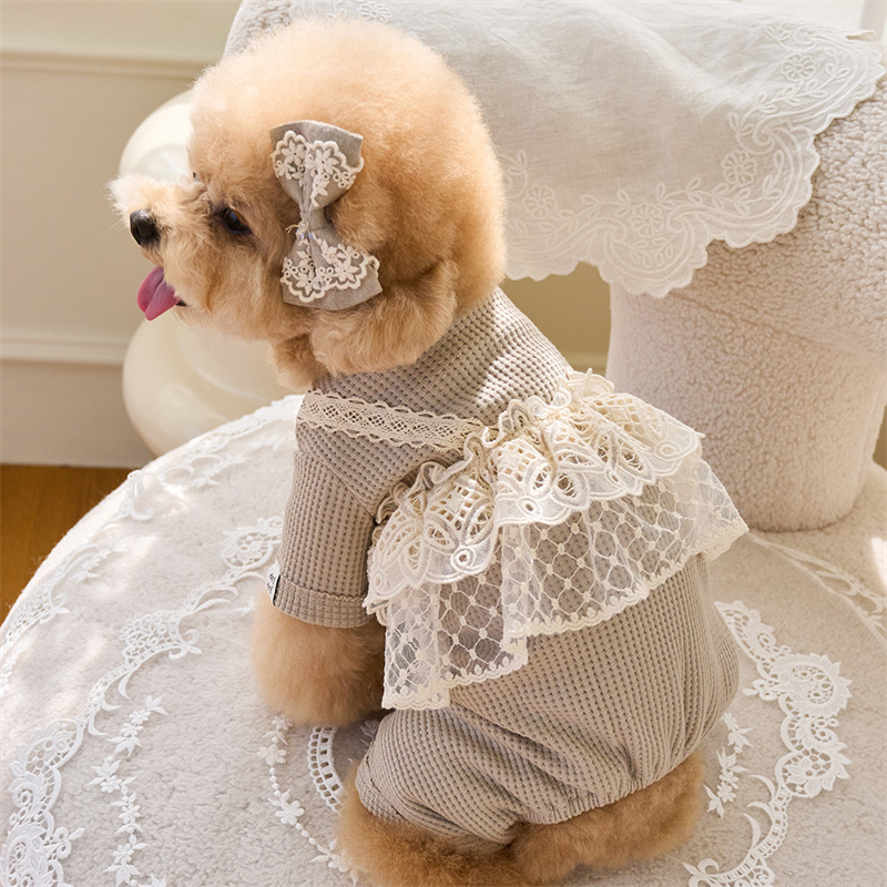 Pet Spring Jumpsuit Cute Lace  - Lace Teddy Lingerie avis et prix